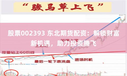 股票002393 东北期货配资：解锁财富新机遇，助力投资腾飞
